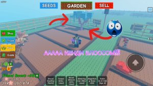 ПОЛУЧИЛ КЕНДИ БЛОССОМ В ВЫРАСТИ САД!