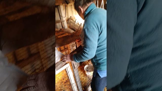 Молодёжь  26