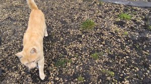 Любашины будни,пришёл знакомый гость 😁 ‼️