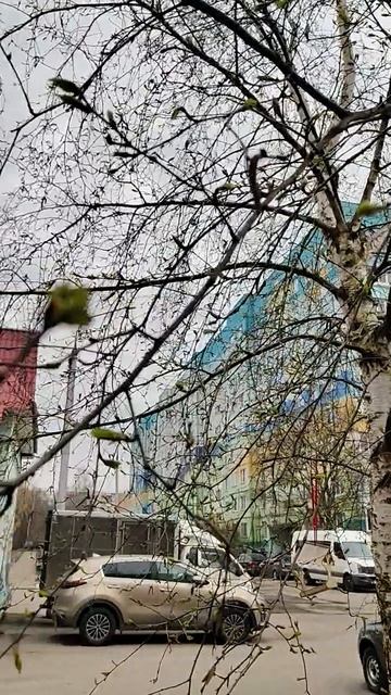 КРАСОТА В ГЛАЗАХ СМОТРЯЩЕГО