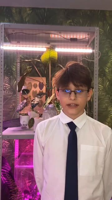 MOV_20260417_071554_110