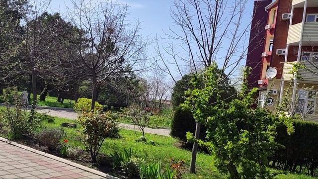 Отдых в Анапе. Апрель 2026г