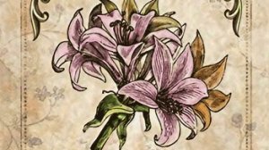 ленорман александр рей