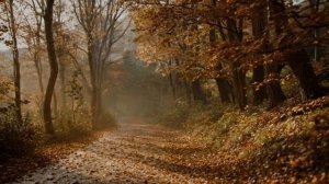 Как легко потерять любовь ( песня 2025 г., изменила припев и муз. стиль)