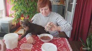 Наша повседневная жизнь. Накрываем стол для обеда