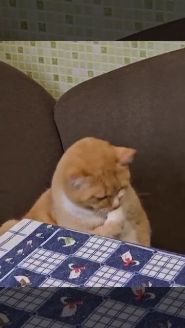 Боже, как вкусно