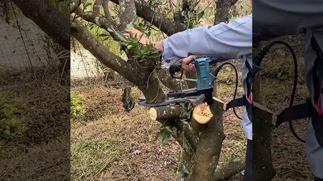 Находка для дачи