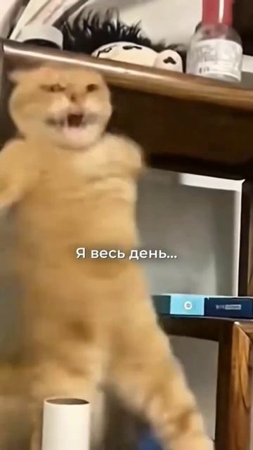 Совет от психолога))!!