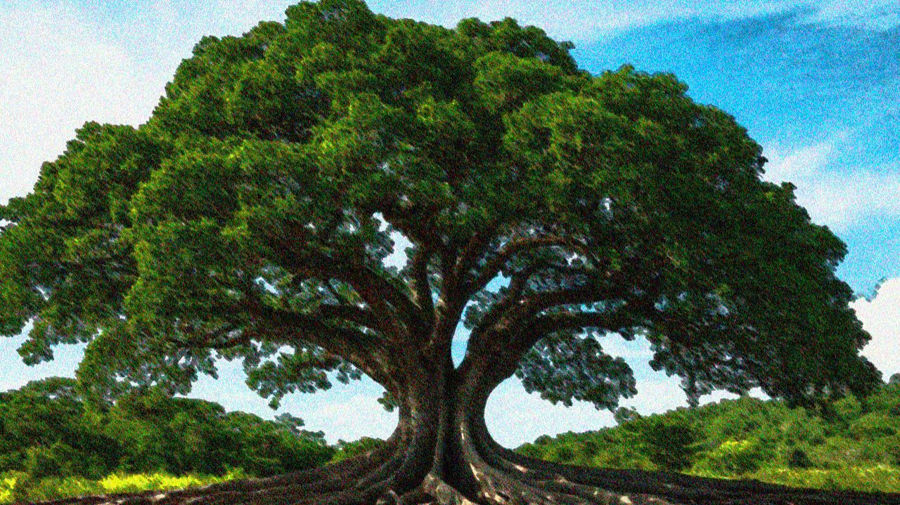 МИХА-ROOTS OVER RICHES.-(PROD. BY НЕЙРОСЕТЬ,МИХА).-(OFFICIAL-MUSIC-VIDEO-2026).