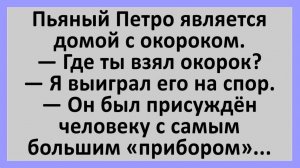 Пьяный Петро является ночью домой... | Анекдоты смешные | Юмор