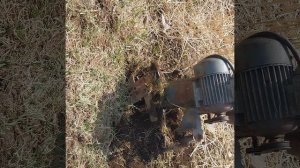 Сад огород.Зачищаю периметры от пырея.