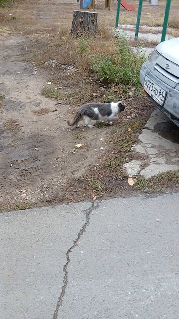 1000003481.mp417.04.2026г.