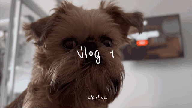 Тихий день со мной 🌿 уютный влог без слов | природа, собака, готовка и рутина