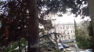 Выпуск 16. Салон Красоты Модное Место в Ялте на улице Пушкинская