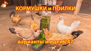 Кормушки и поилки для кур своими руками 247 🪚✂️ Пошаговая инструкция как сделать 🐔 🐓❣️