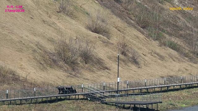 120.ПЕШИЕ ПРОГУЛКИ, Лебедянь 17 апр.26.vovich Video.