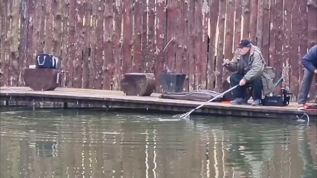 Второе зарыбление.