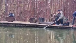 Второе зарыбление.