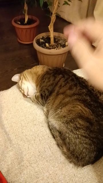 15 апреля 2026 г.