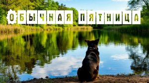 Обычная пятница