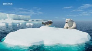 Морские Котики (SEALOOK) (95)