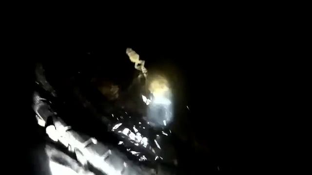 Звуки природы. Кваканье лягушек в пруду \ ОБЗОР.