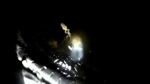 Звуки природы. Кваканье лягушек в пруду \ ОБЗОР.