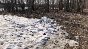 Весенняя апрельская прогулочка