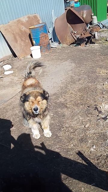 Где-то в России!!!