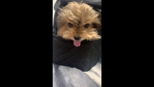 Очень неожиданно