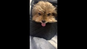 Очень неожиданно