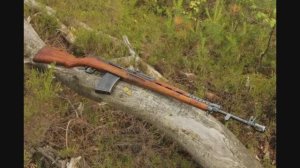 Винтовка Симонова АВС 36