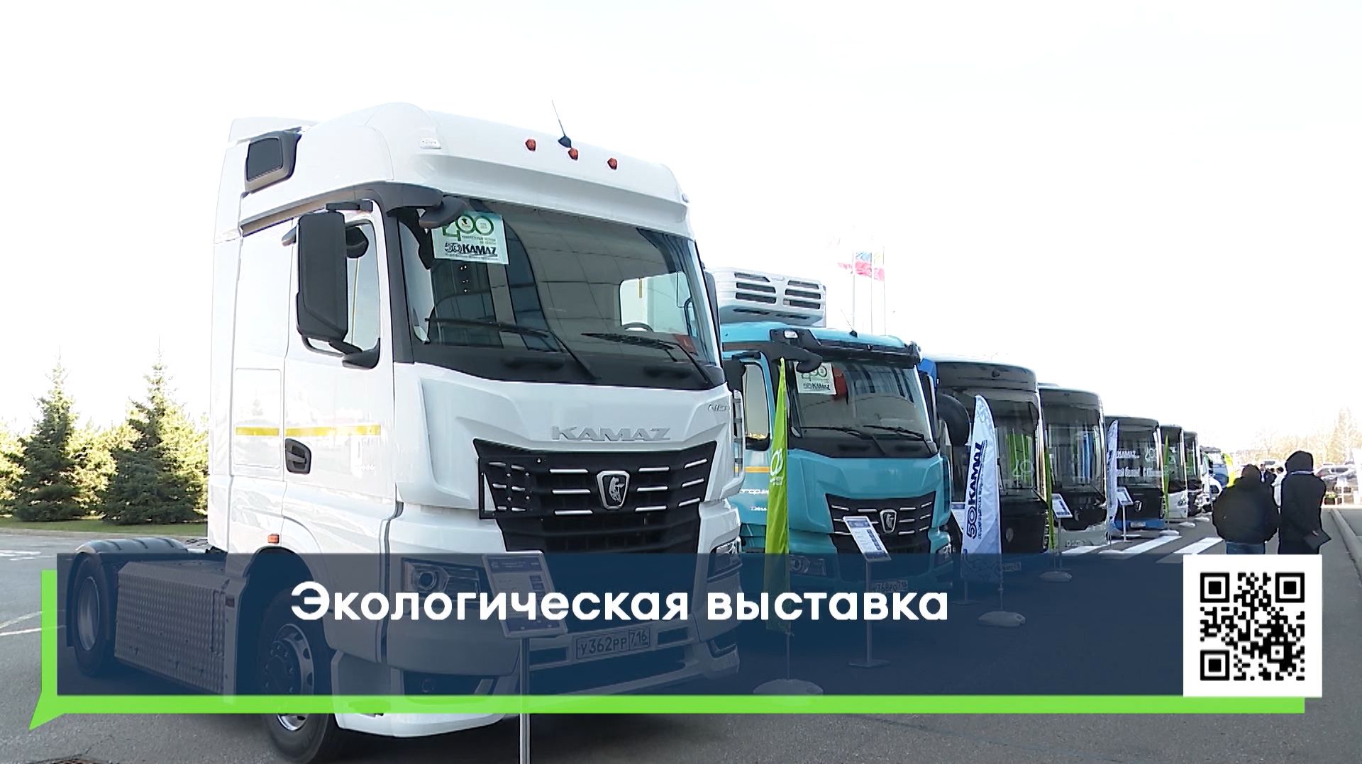 Экологическая выставка