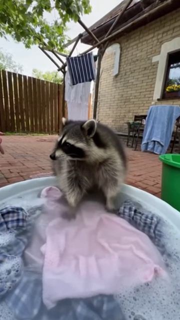 ЕНОТ В ДЕЛЕ