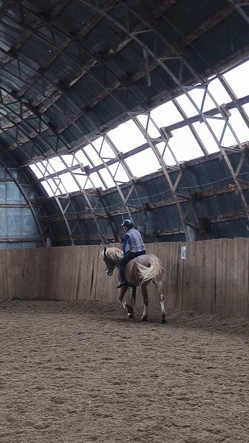 Ольга и Каспер очень непросто скакать галопом без седла.