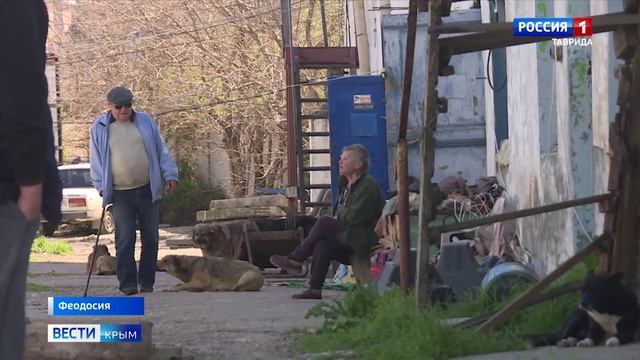 Глава Следкома России взял на контроль ситуацию с бродячими собаками в Феодосии