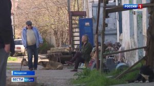 Глава Следкома России взял на контроль ситуацию с бродячими собаками в Феодосии