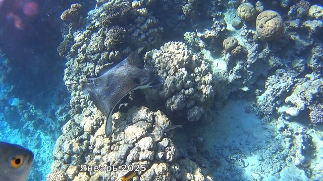 Park Regency 24-26 Lv