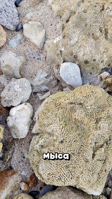 Идеи для #путешествия во #вьетнам #нячанг #приключения #море #отдых