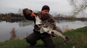 РЫБАЛКА В ЗАПРЕТ МИКРОДЖИГ РАКИ ФРИ РИГ ЛОВЛЯ НА БЕЛОЙ ДАЧЕ)