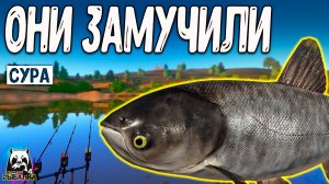 RF4 Они конкретно меня замучили размотами #рр4