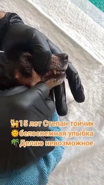 Степан 15 лет тойчик, белоснежная улыбка, 2-й раз чистим зубки.