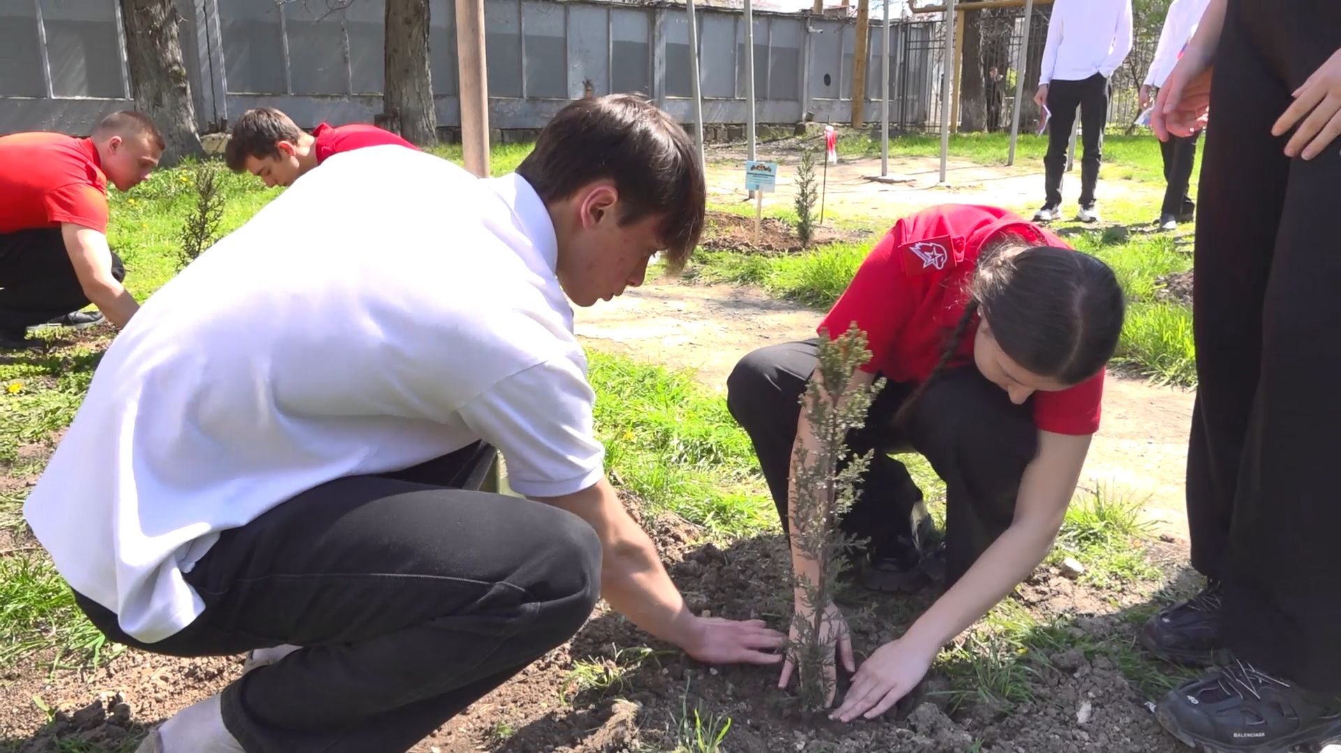 В анапской школе 4 посадили аллею памяти Валентины Гризодубовой