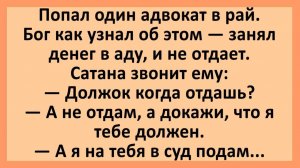 Анекдоты | Попал один адвокат в рай... | Анекдоты смешные | Юмор