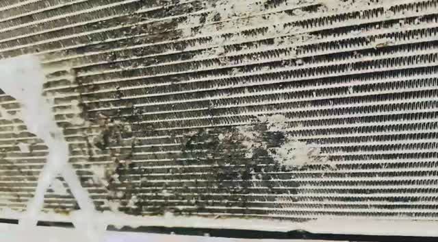 МОЙКА РАДИАТОРОВ ✅ КОГДА и КАК лучше всего делать ‼️❓и ПОЧЕМУ ❓EXEED VX