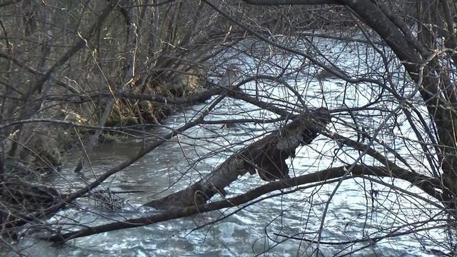 Каждому своё.