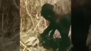 Видео от МЭН - Мне Это Нравится