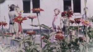 Профилакторий и цветы