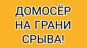 Митя против Вологжанки!