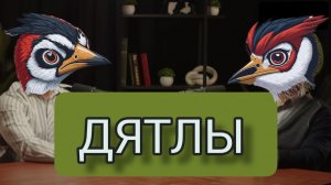 Дятлы в натуре